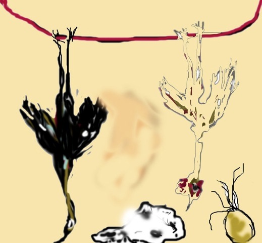 Loading Image