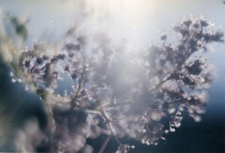 Loading Image